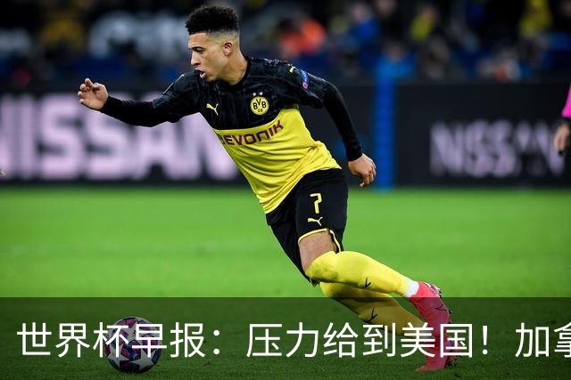 世界杯早报：压力给到美国！加拿大1-1波黑 本届东道主依旧不败